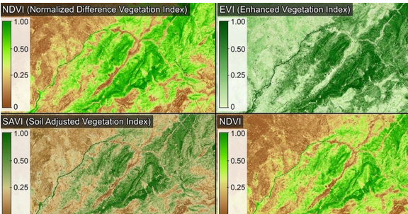 Monitoreo de cobertura vegetal — proyecto de Percepción remota de Geonalys, topografía y geomática en Cholula, Puebla