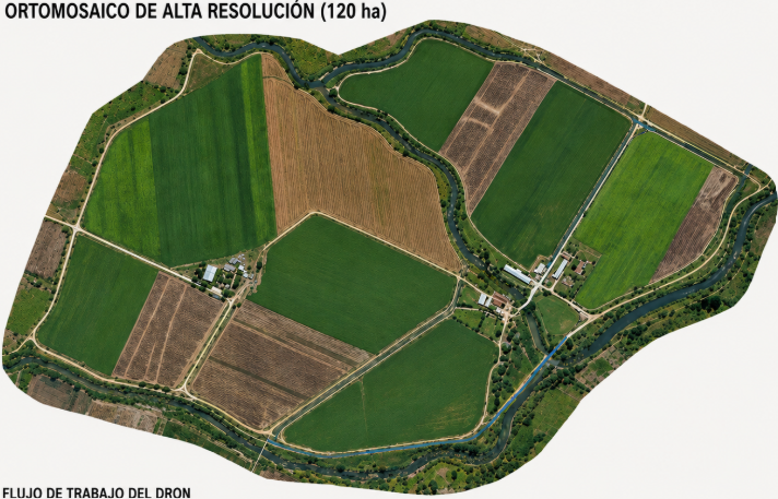 Ortomosaico de predio agrícola — proyecto de Fotogrametría de Geonalys, topografía y geomática en Cholula, Puebla